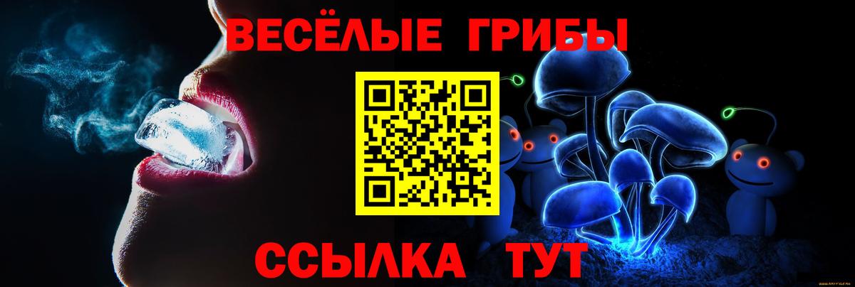 Псилоцибиновые грибы мухоморы Новозыбков