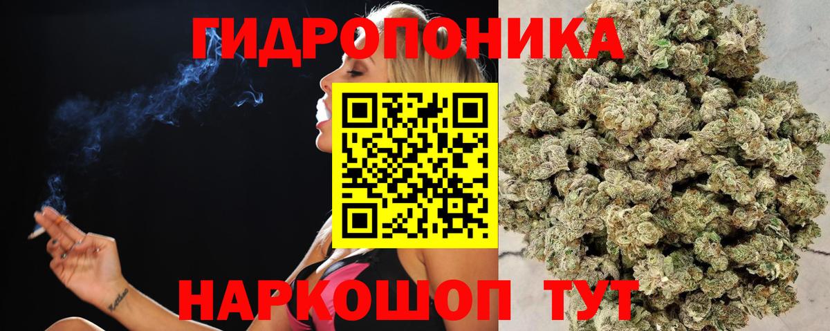 МАРИХУАНА MAZAR  Бошки марихуана LSD WEED  Конопля сатива  Вход с VPN  Новозыбков  МАРИХУАНА гибрид 